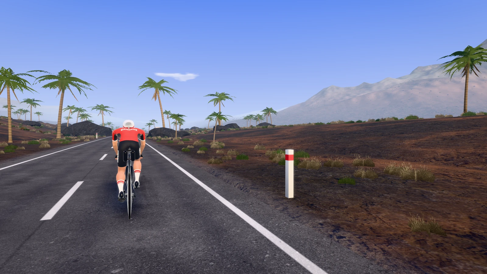 Een renner tussen palmbomen en kale bergen op Lanzarote.